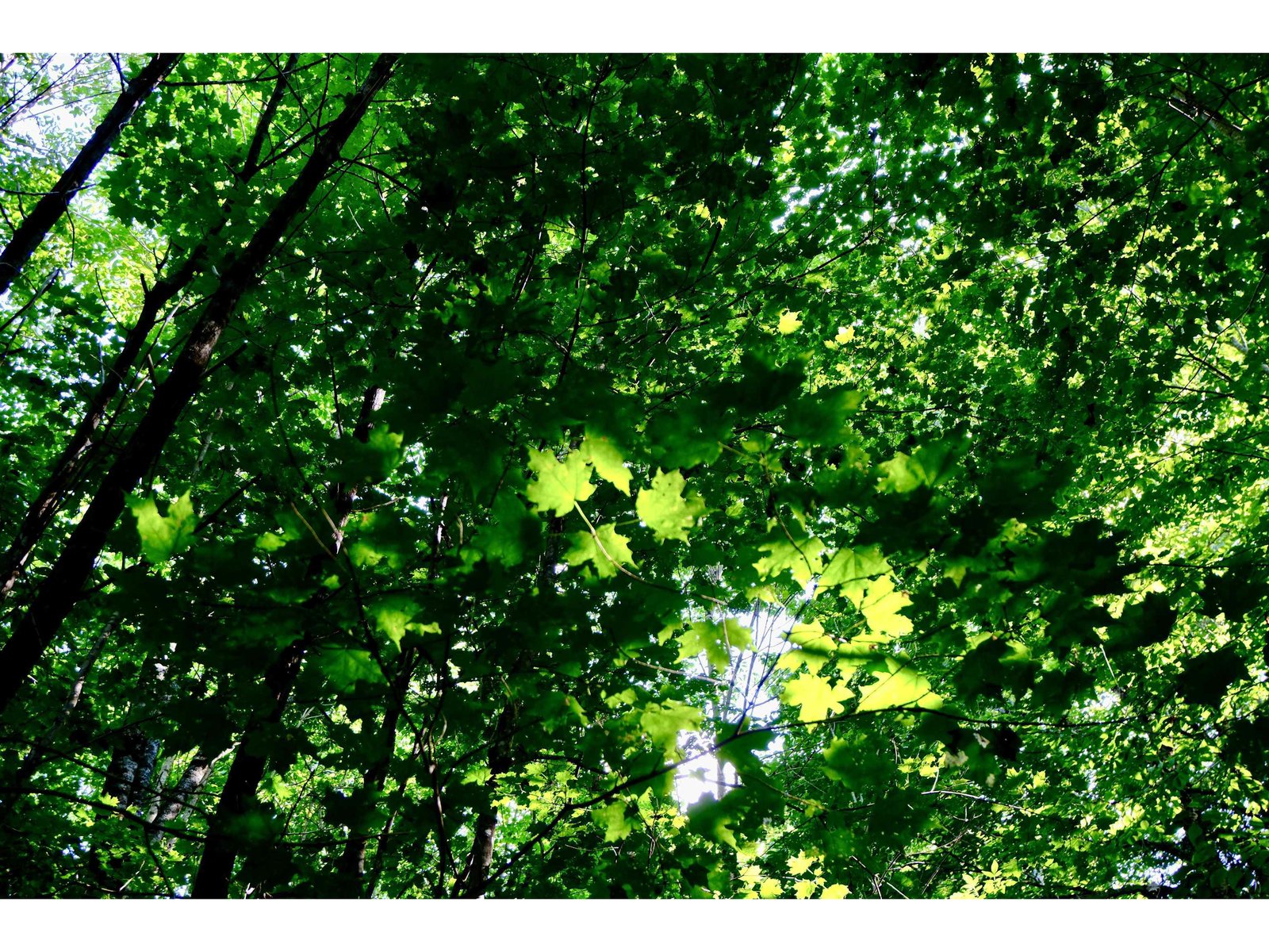 0 Calendar Brook Road