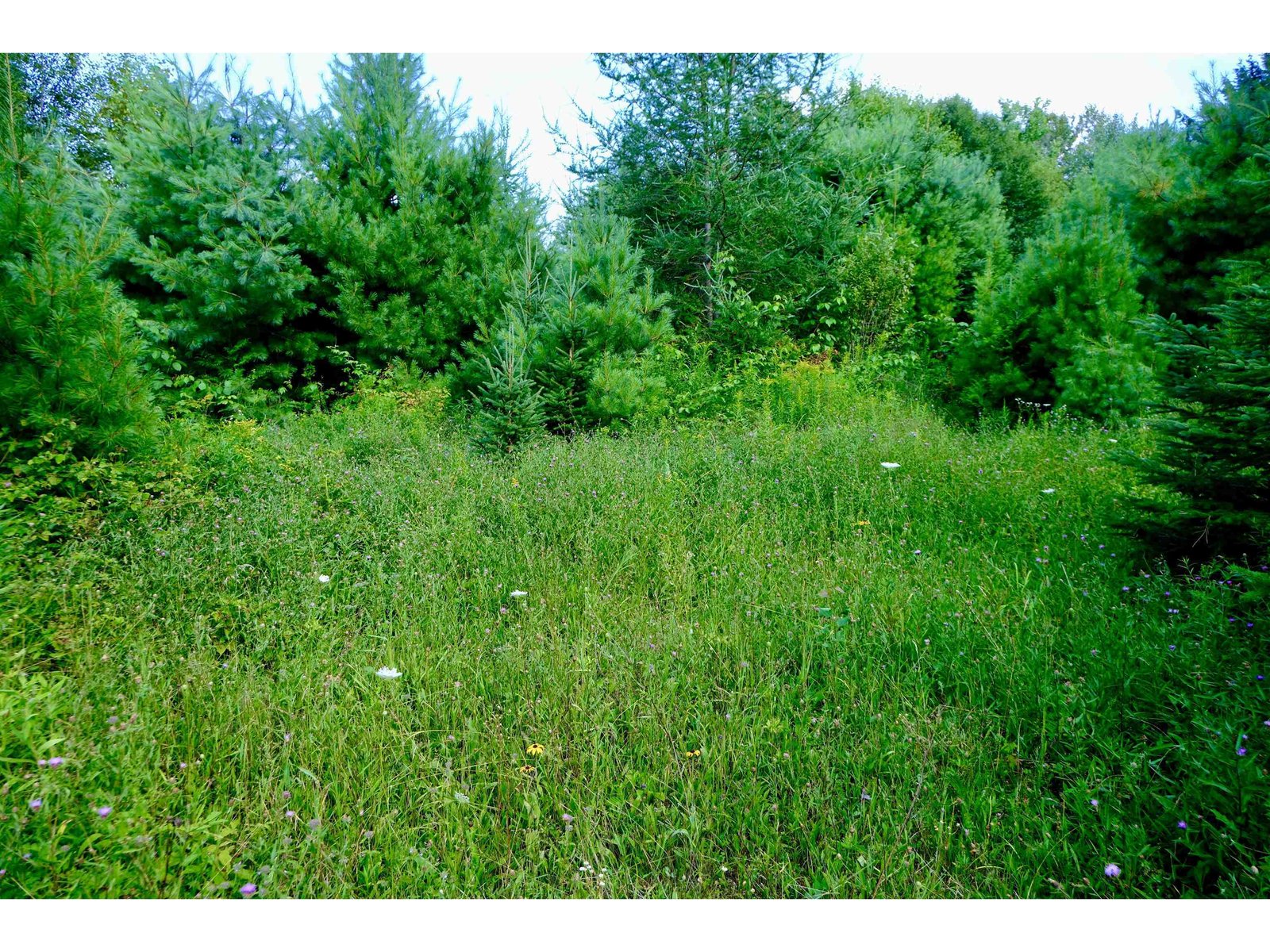 0 Calendar Brook Road