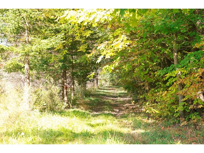 0 Dallinger Road