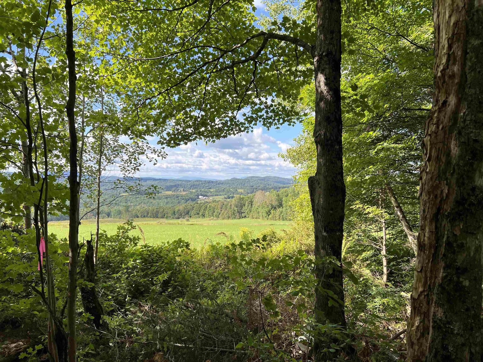 0 Danville Hill Road, Cabot