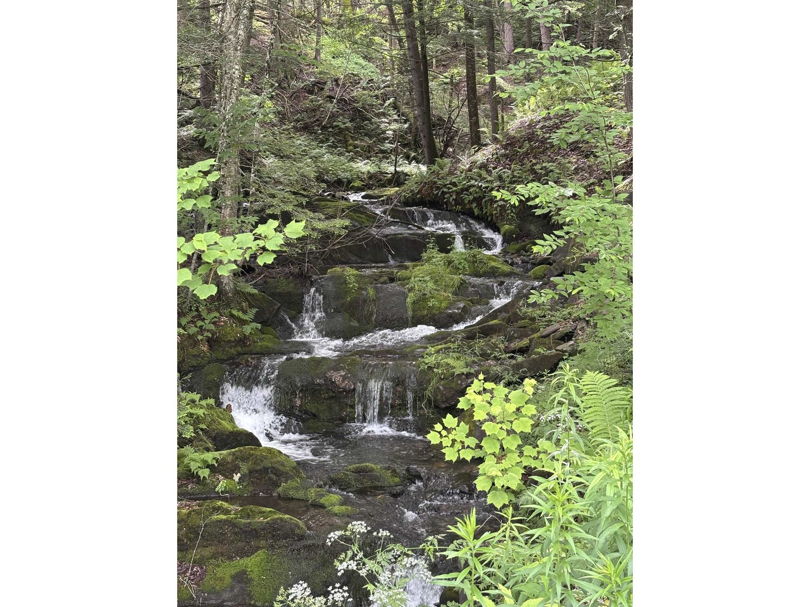 0 Davis Acres Road