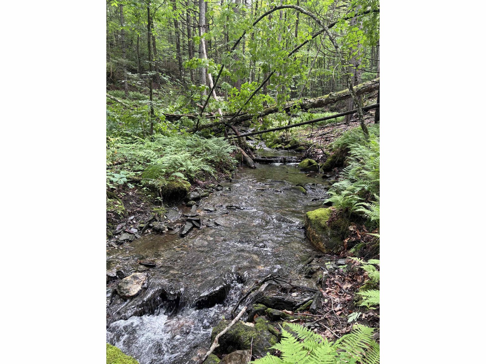 0 Davis Acres Road