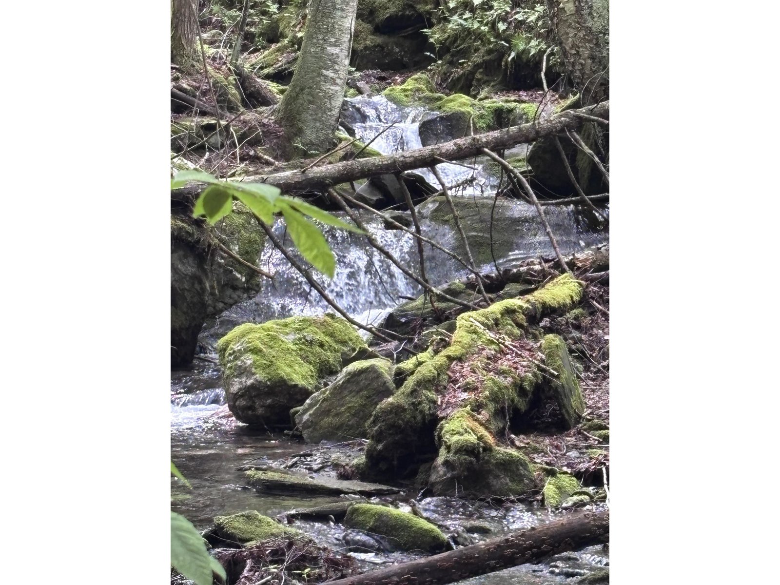 0 Davis Acres Road