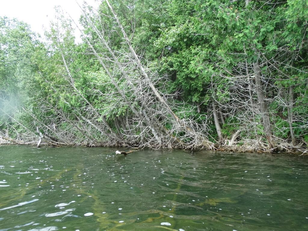 0 Derby Pond
