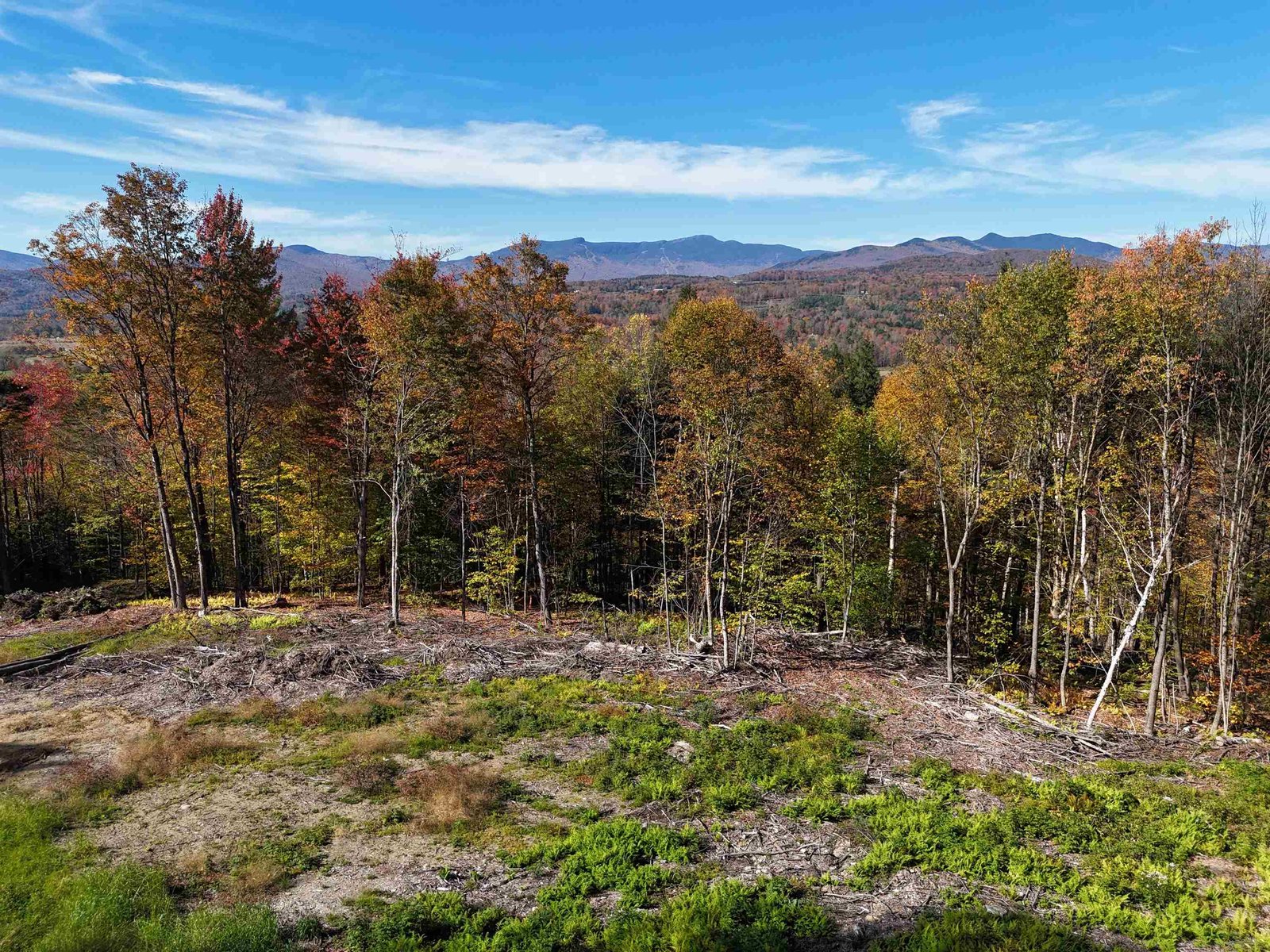 0 Dogwood Springs Road