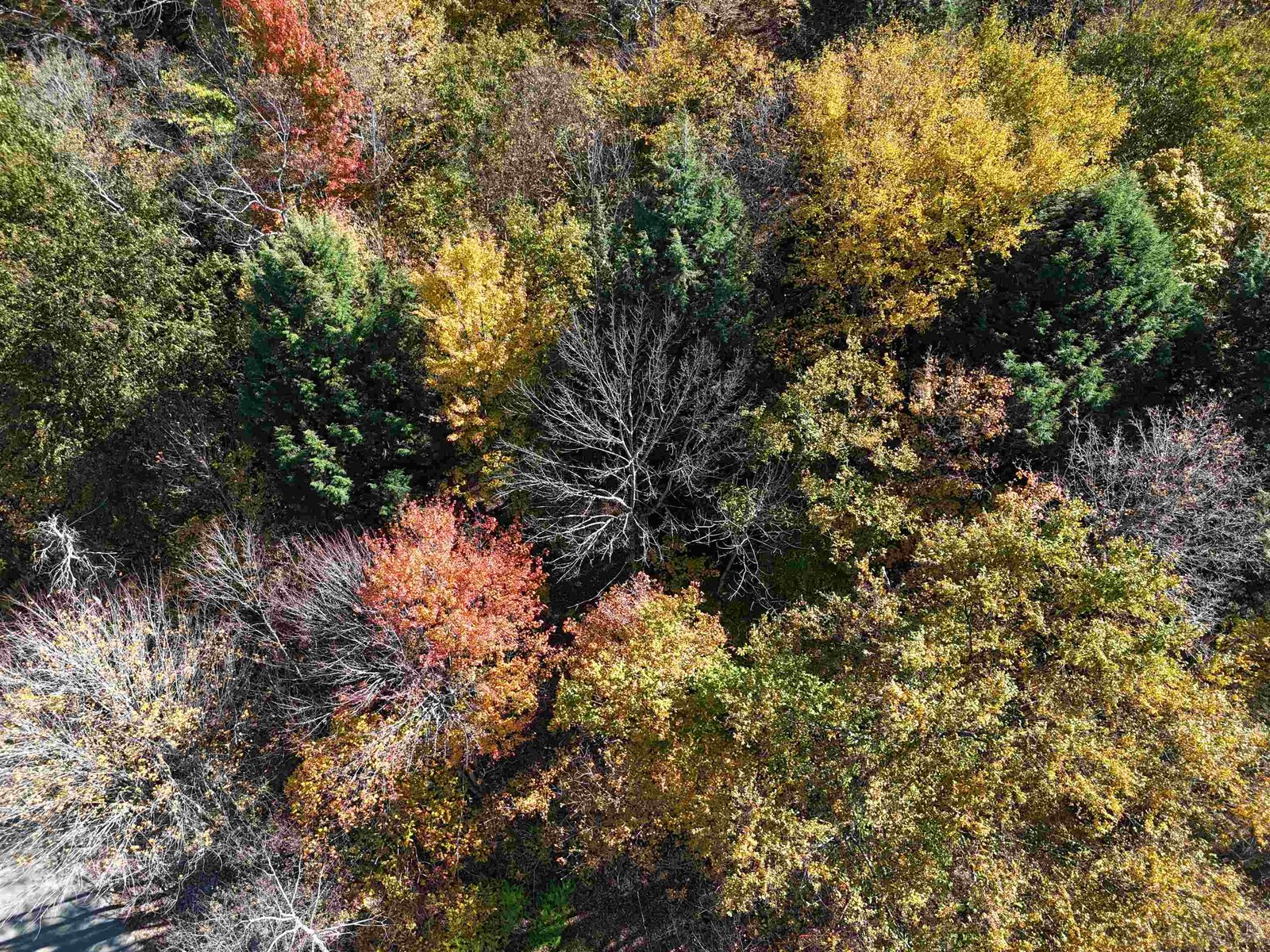 0 Dogwood Springs Road