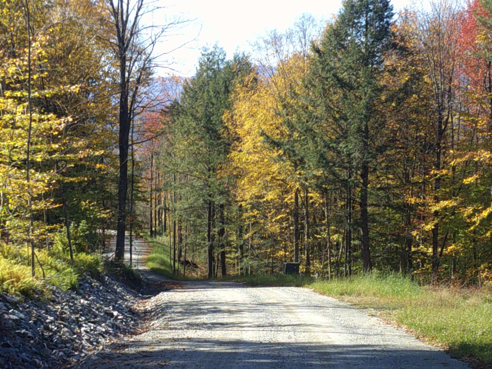 0 Dogwood Springs Road