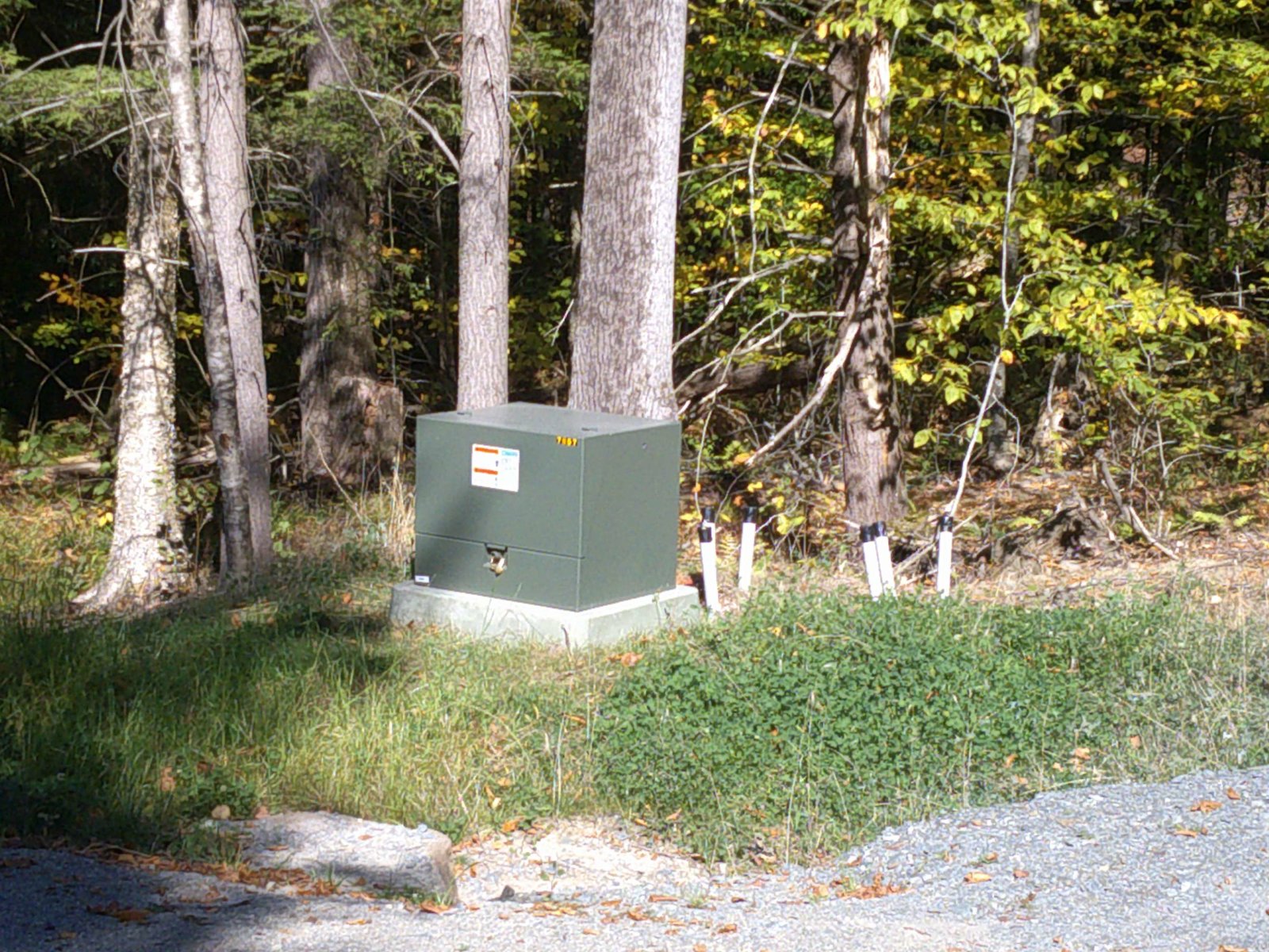 Utilities are buried at the lot
