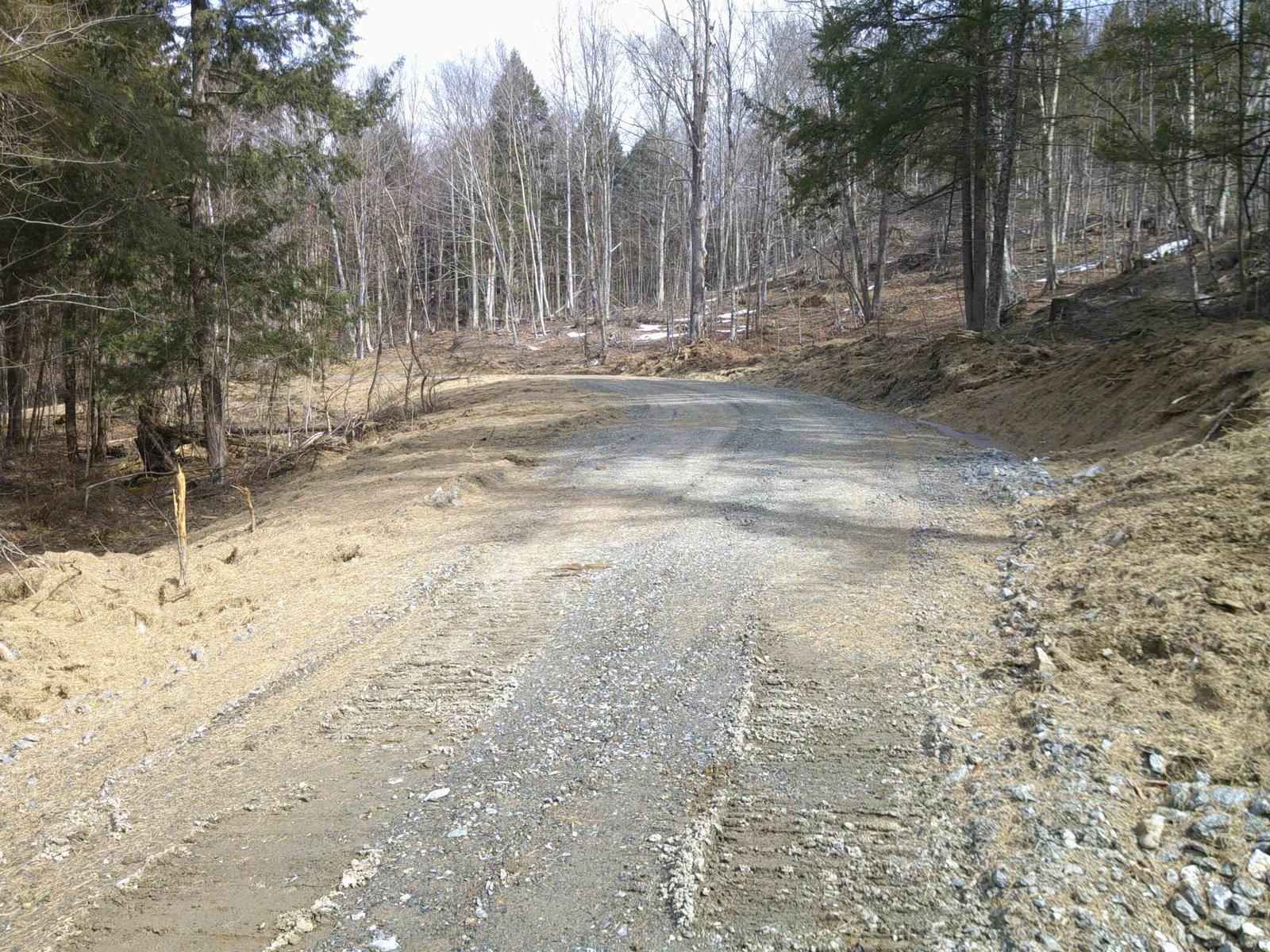Walking down Dogwood Springs to the driveway of Lot 4