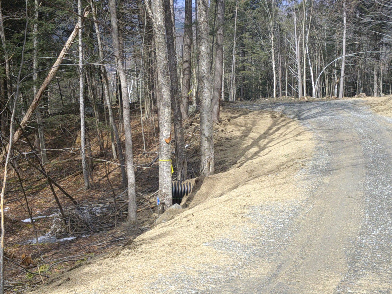 0 Dogwood Springs Road