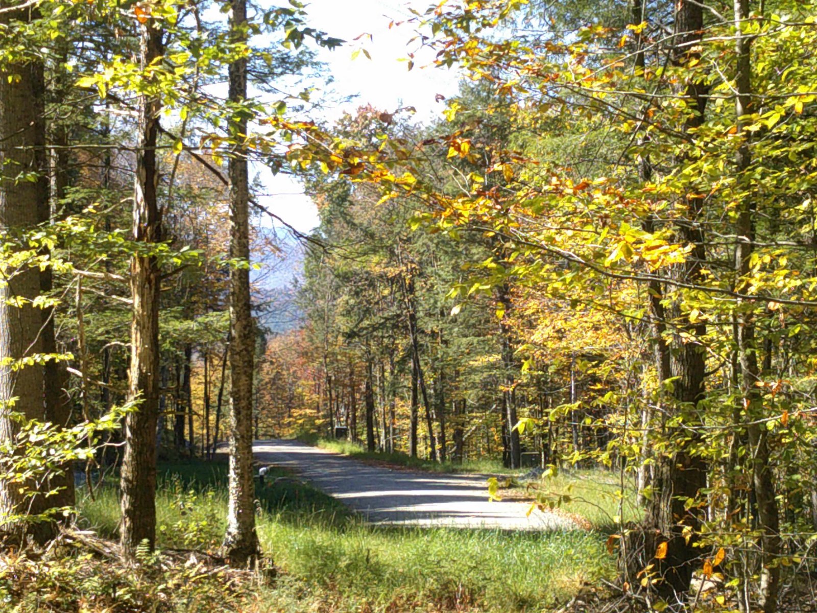 0 Dogwood Springs Road