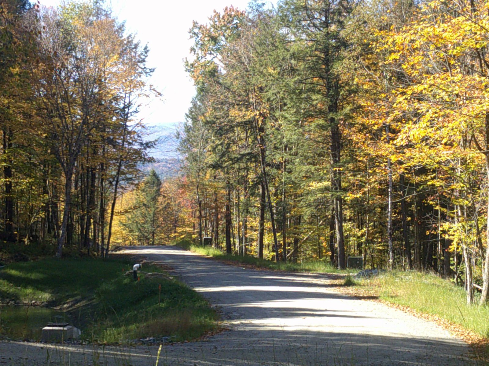 0 Dogwood Springs Road