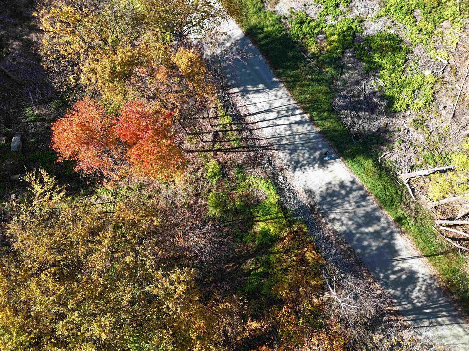 0 Dogwood Springs Road