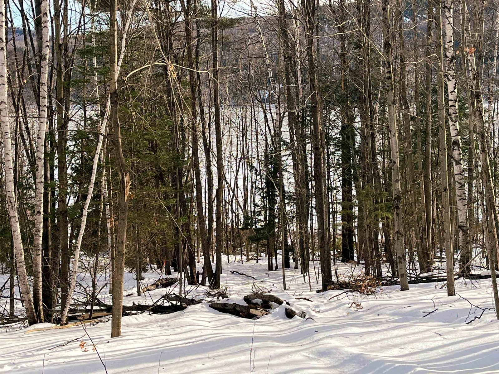 Crystal Lake thru the trees