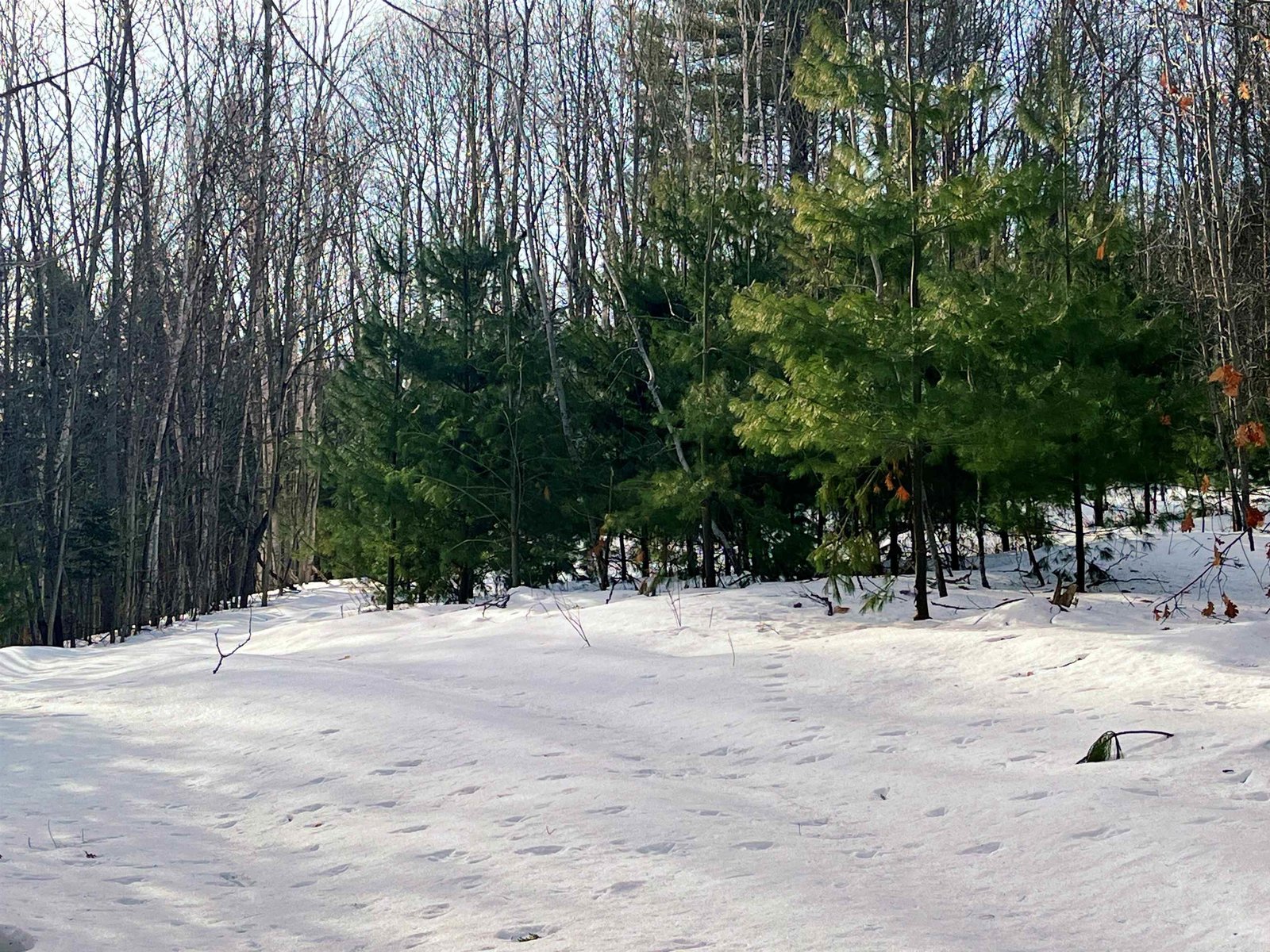 0 Duck Pond Road