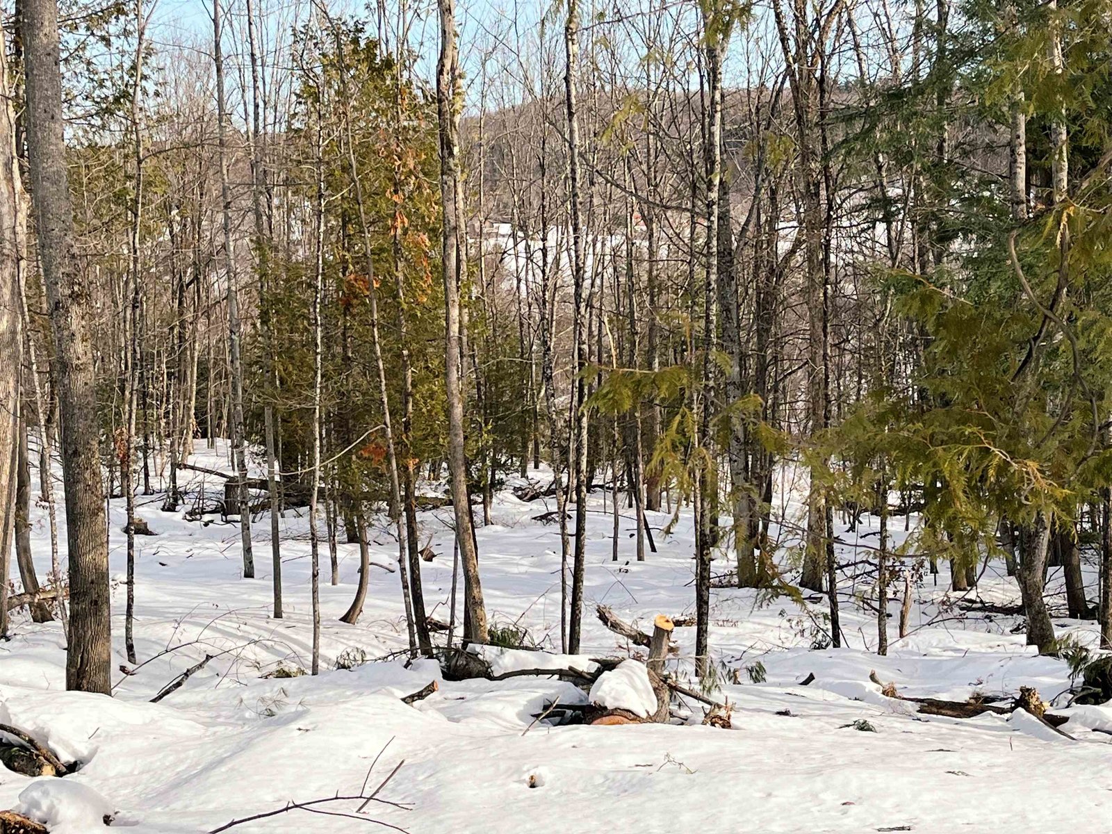 0 Duck Pond Road