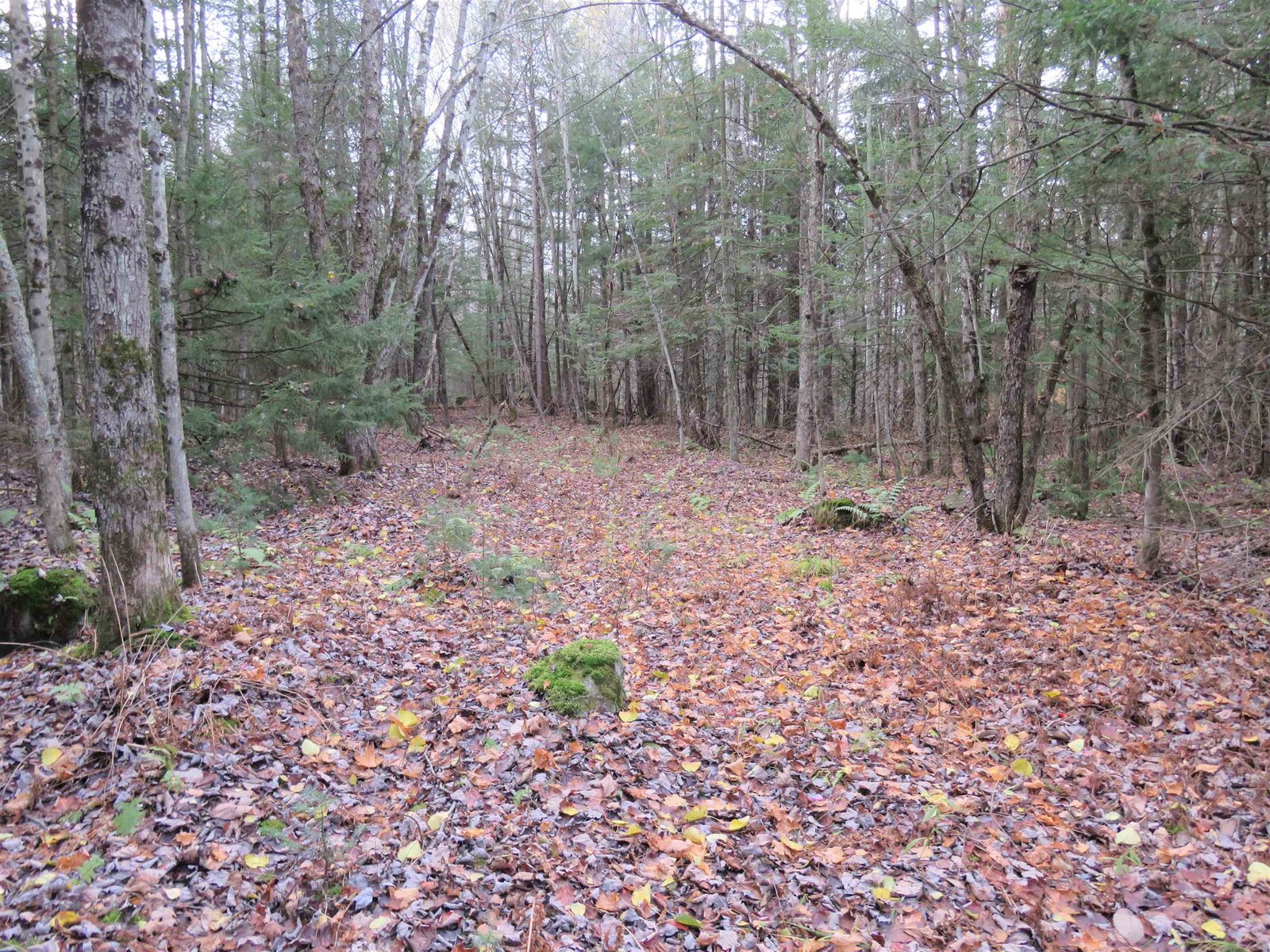 0 East Hill Road