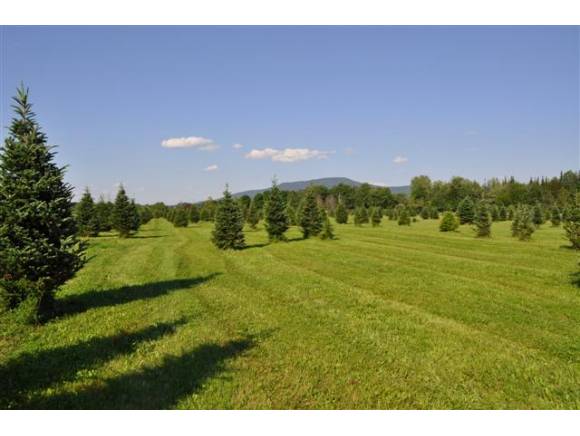 0 Evergreen Lane Lot #5