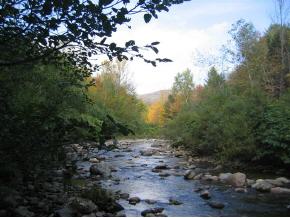 0 Falls Brook Rd