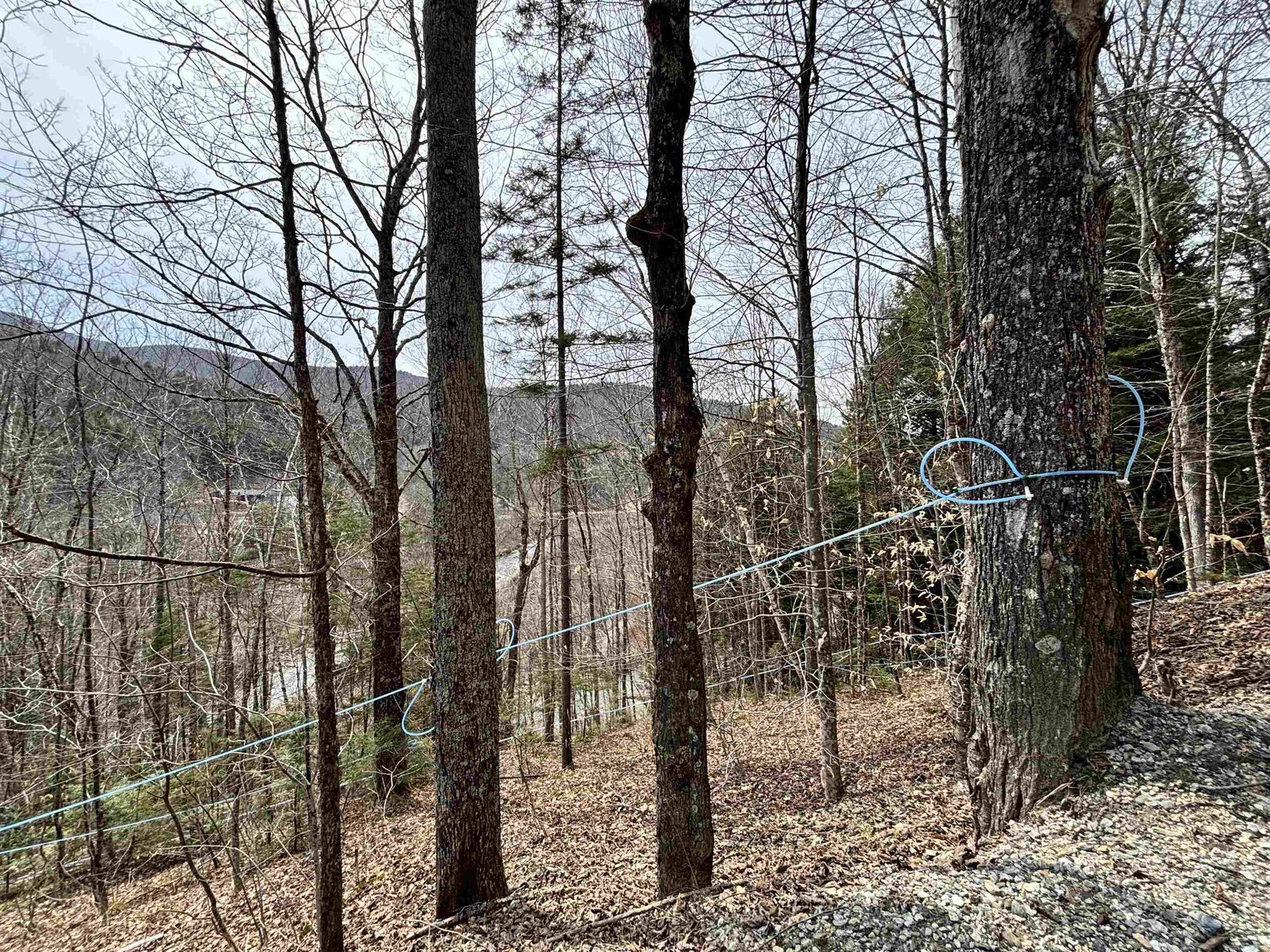 0 Fassett Hill