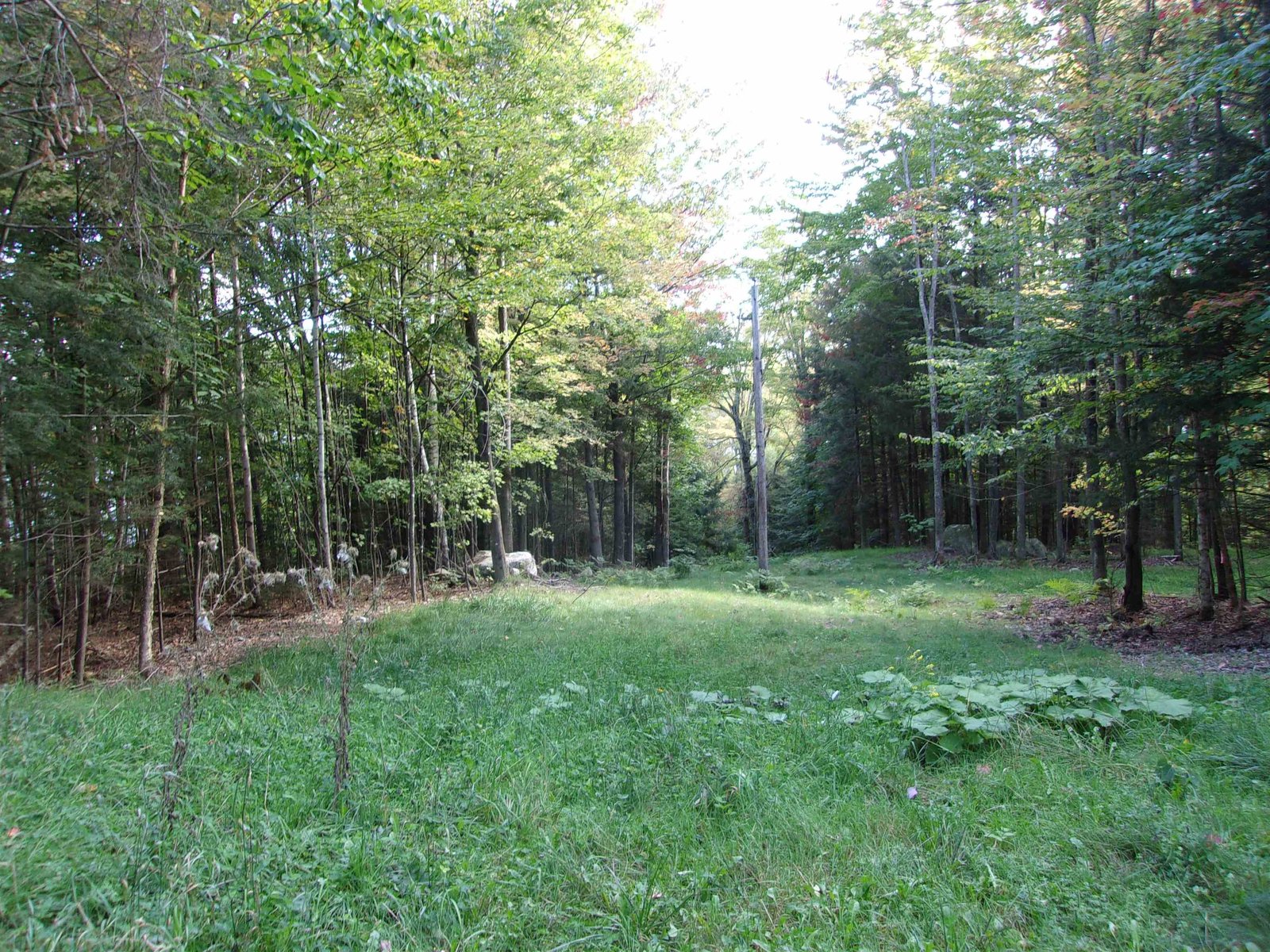0 Foliage Lane