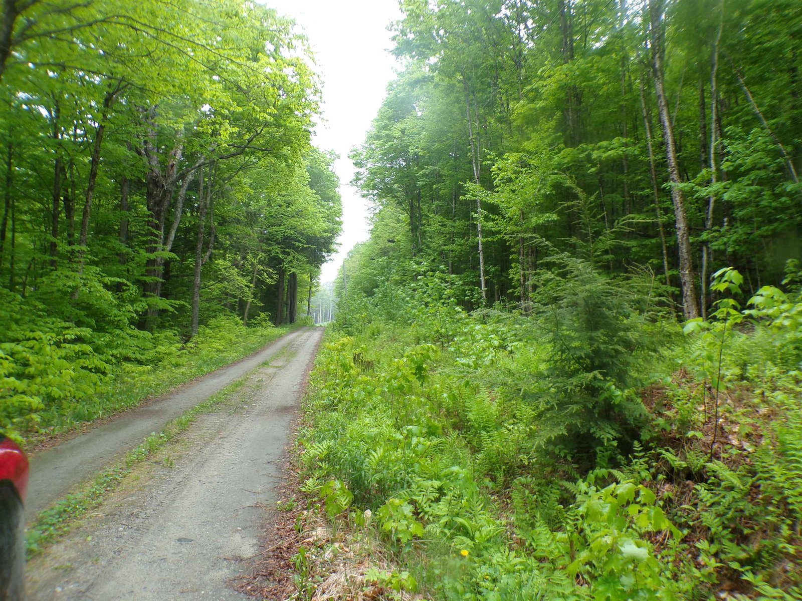 0 Foliage Lane