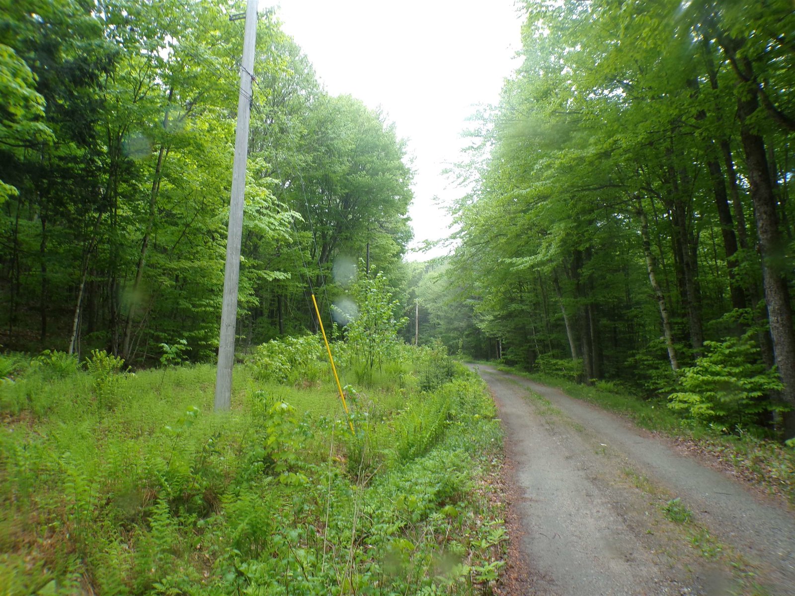 0 Foliage Lane