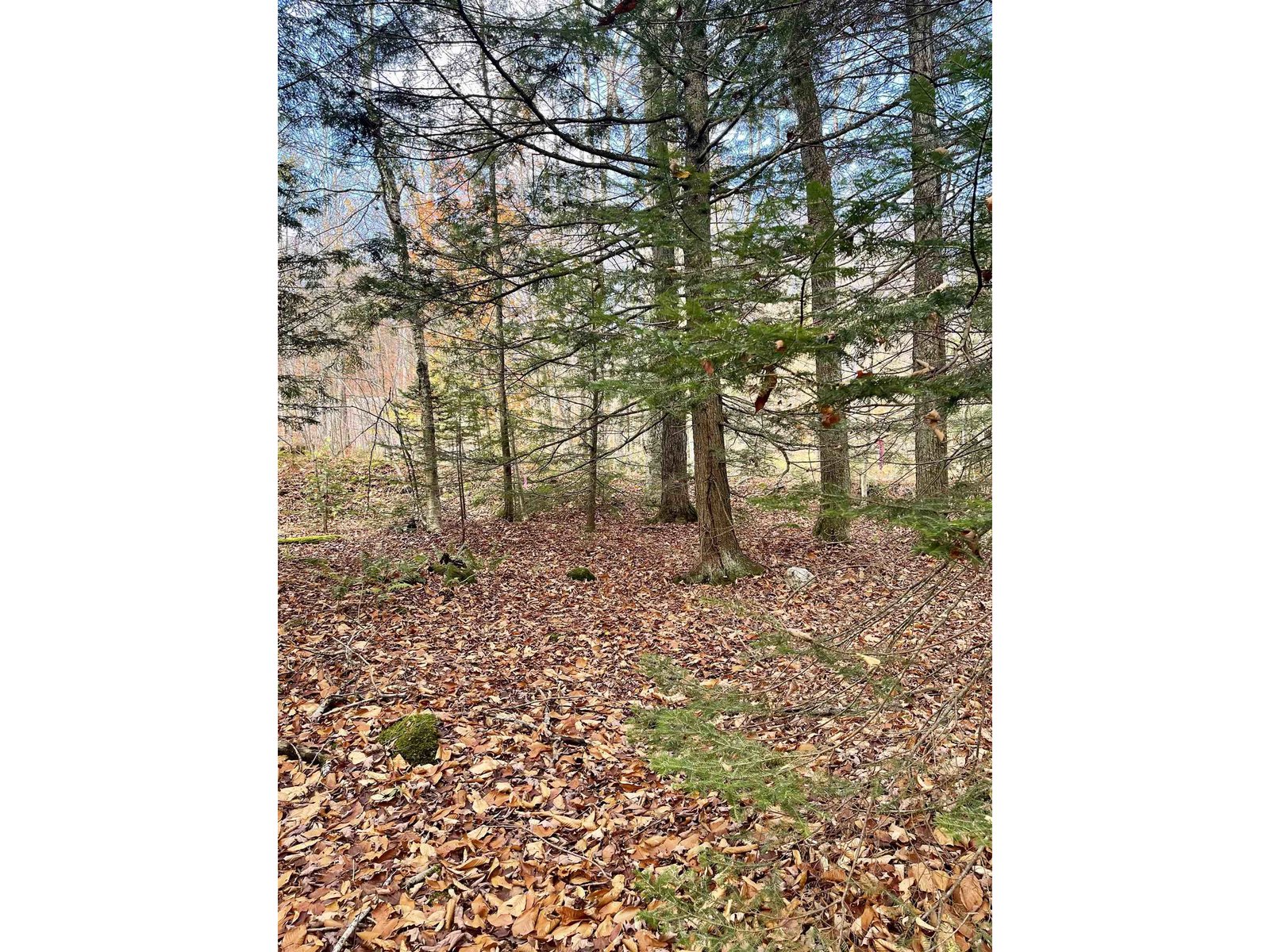 0 Foothills Drive
