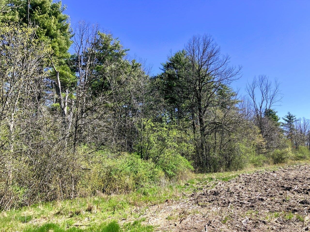Woodland border for privacy!