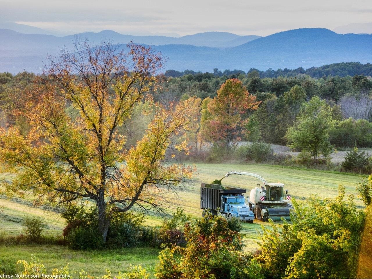 Farm the land!