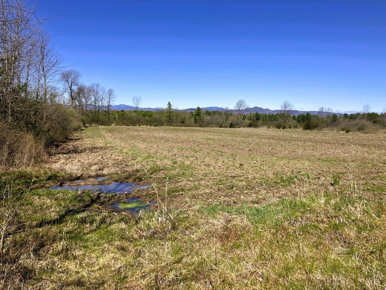 Great home farming business
