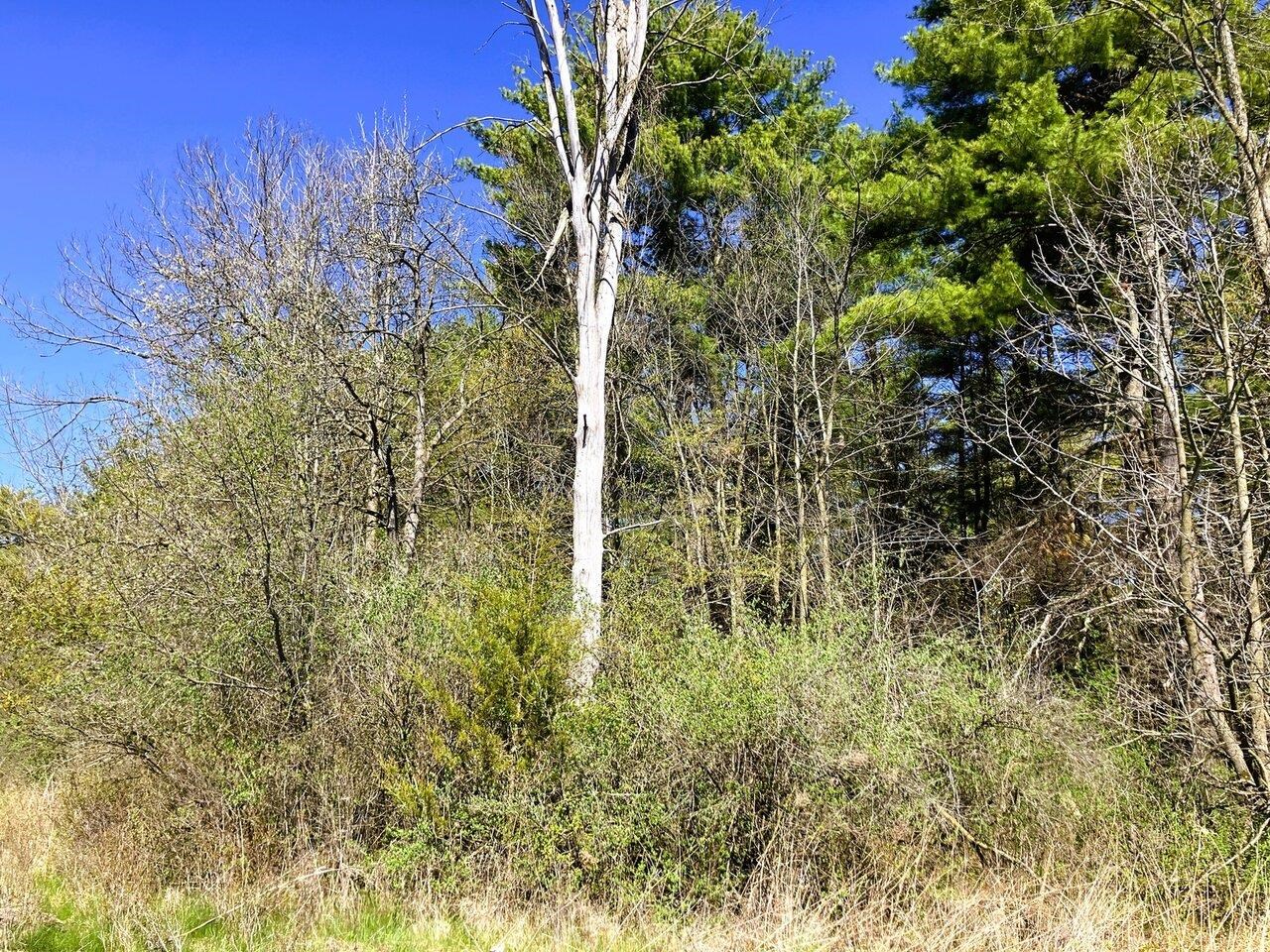 Land in VT Current Use Program