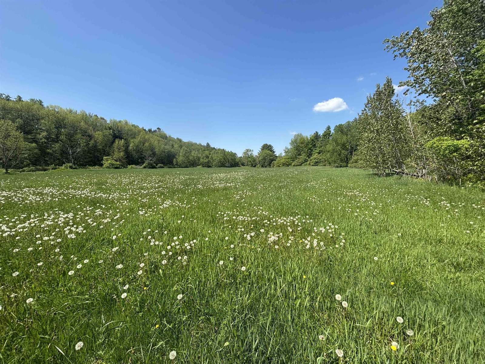Beautiful Open Fields