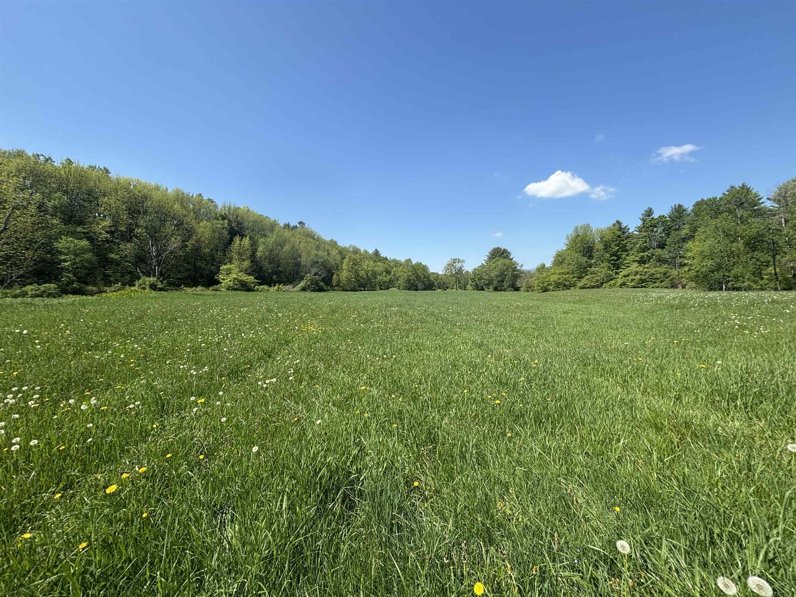 More Field Pictures