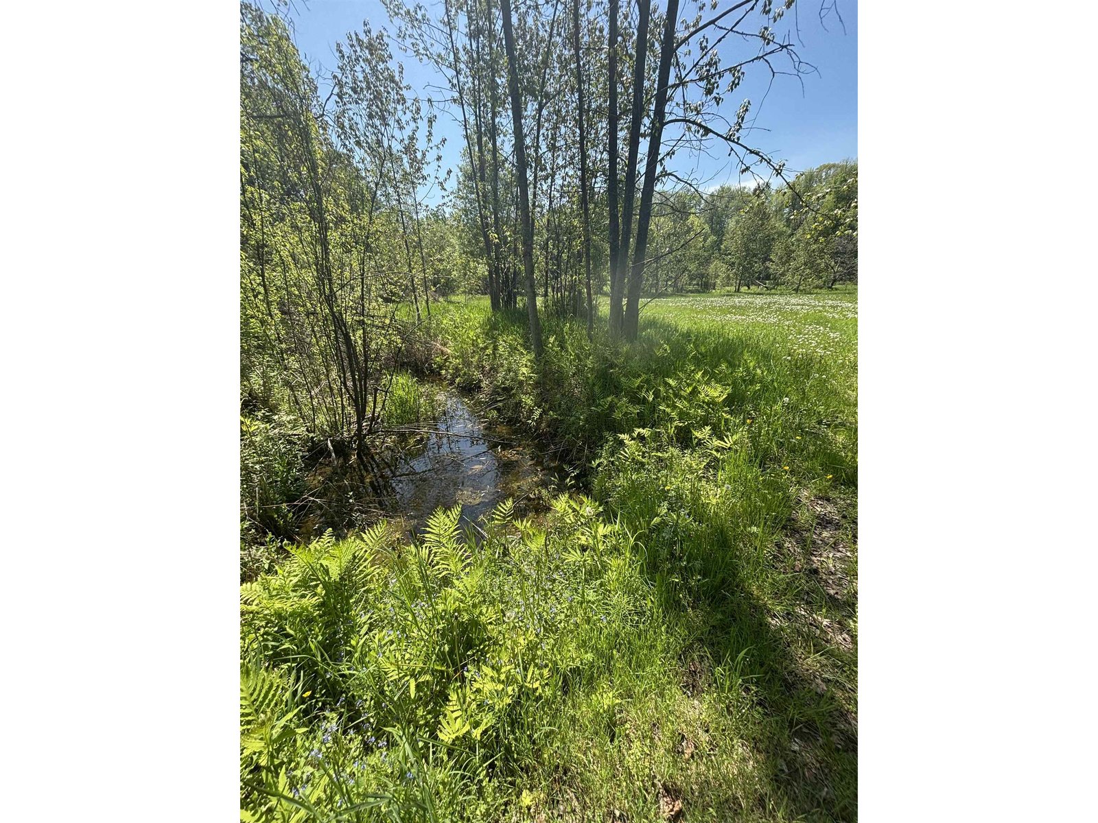 Babbling Brook on Property Down to Lamoille River