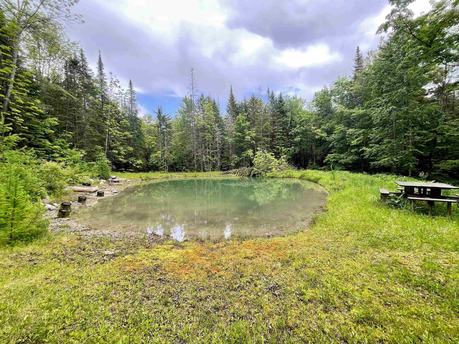 Pond Site
