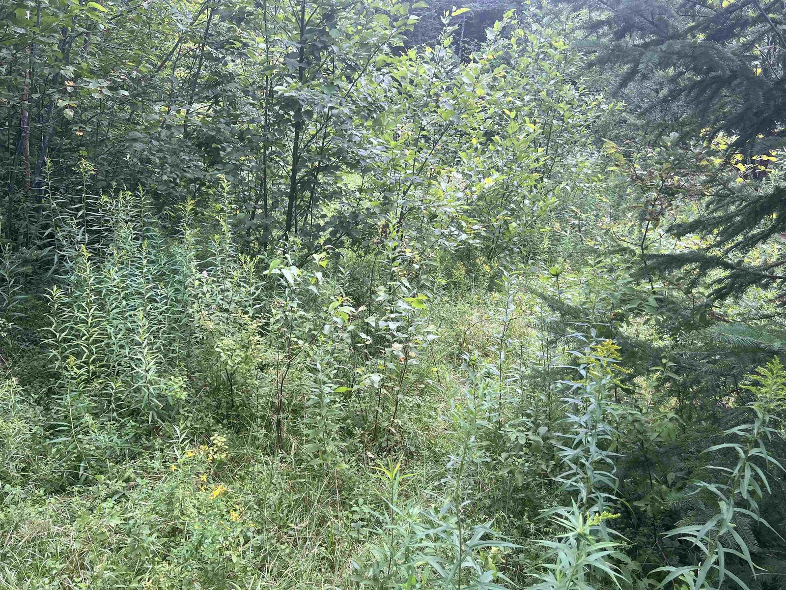 0 Hartwell Pond Road