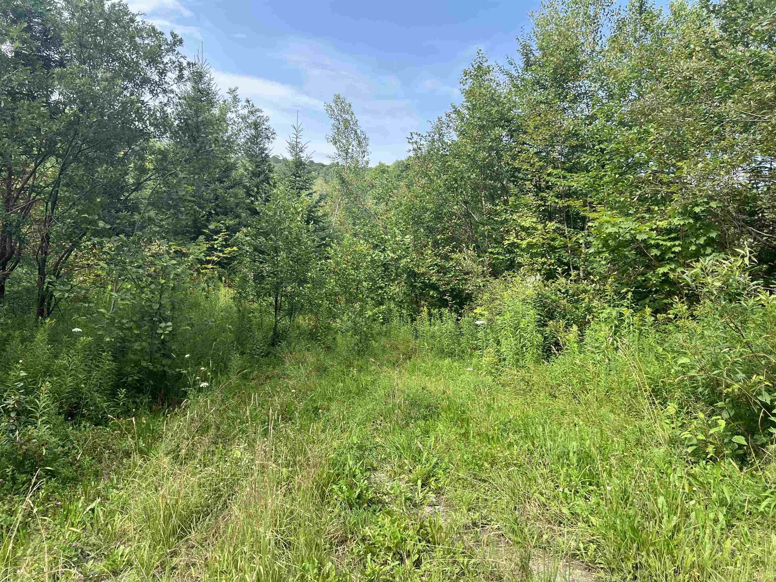 0 Hartwell Pond Road