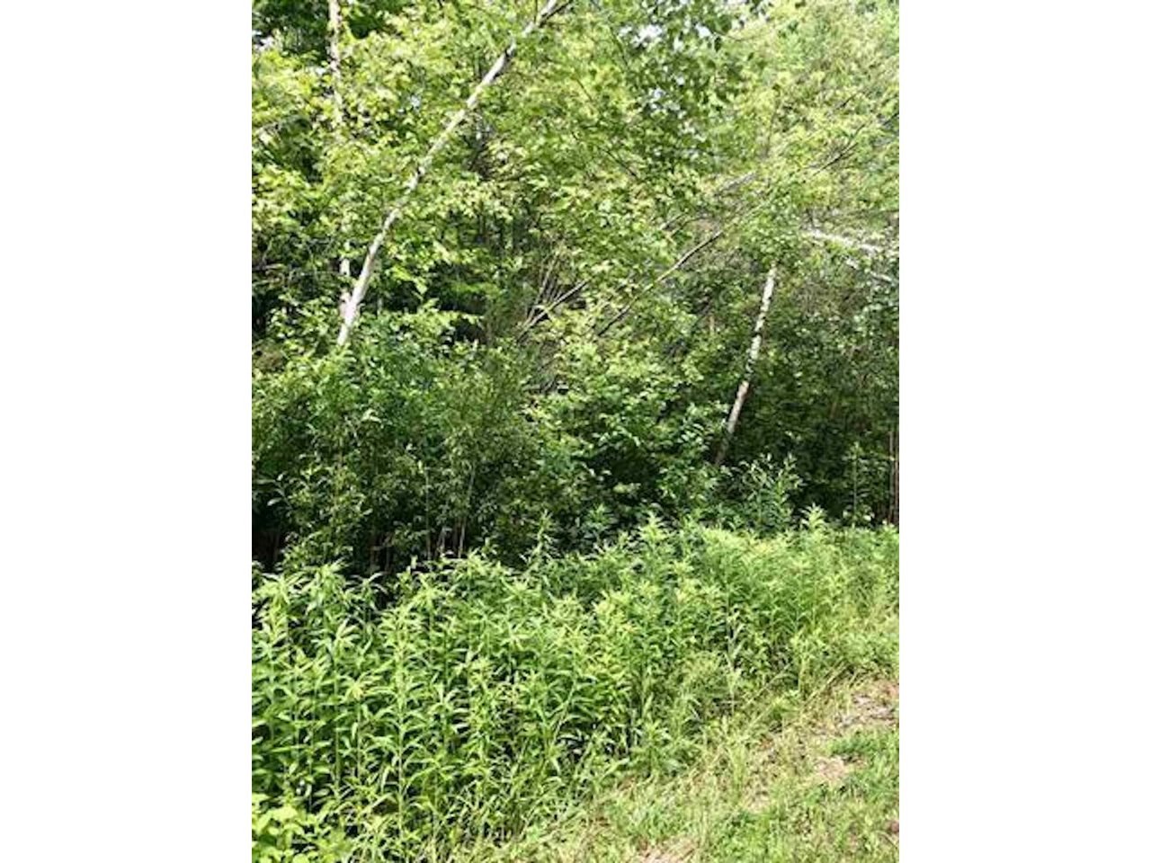 0 Hillside Avenue