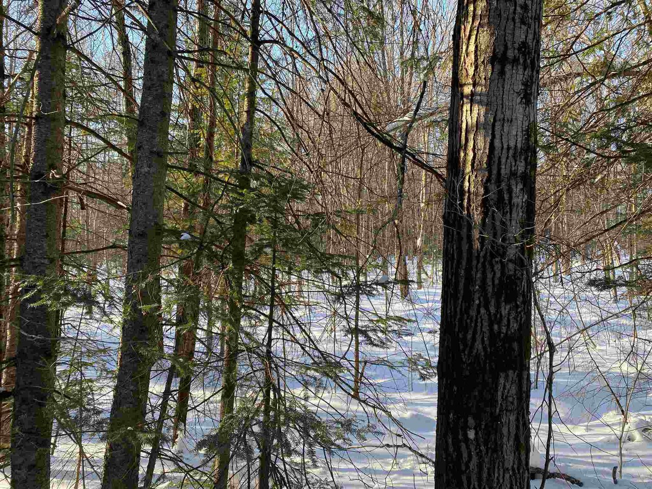 0 Hinman Settler Road