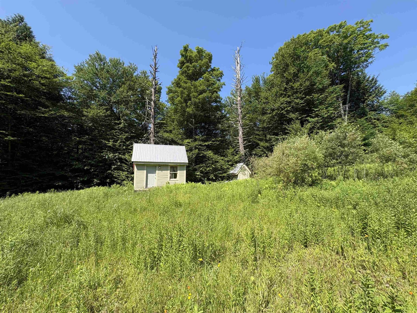 15 acres with Cabin on Hog Hollow