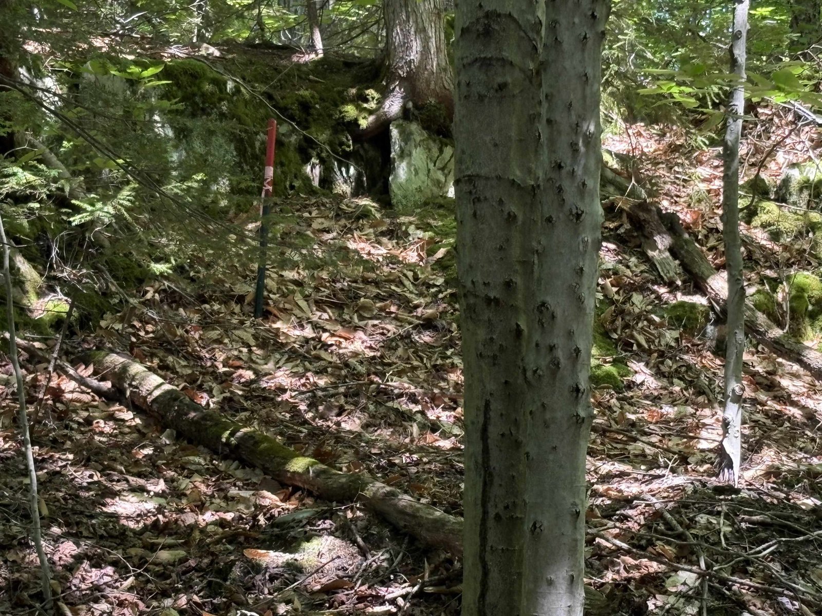 Property boundary marker to left of entrance to property