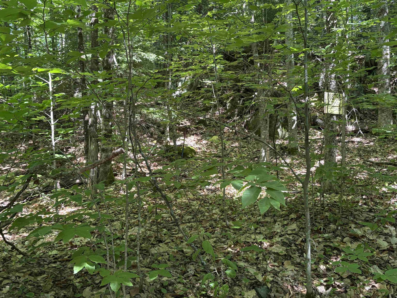 Property boundary marker to right of entrance to property