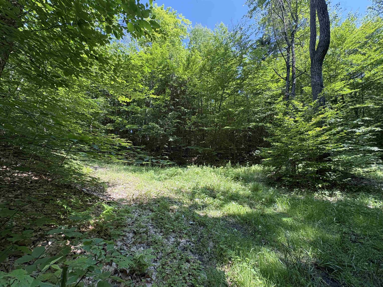 Entry to property