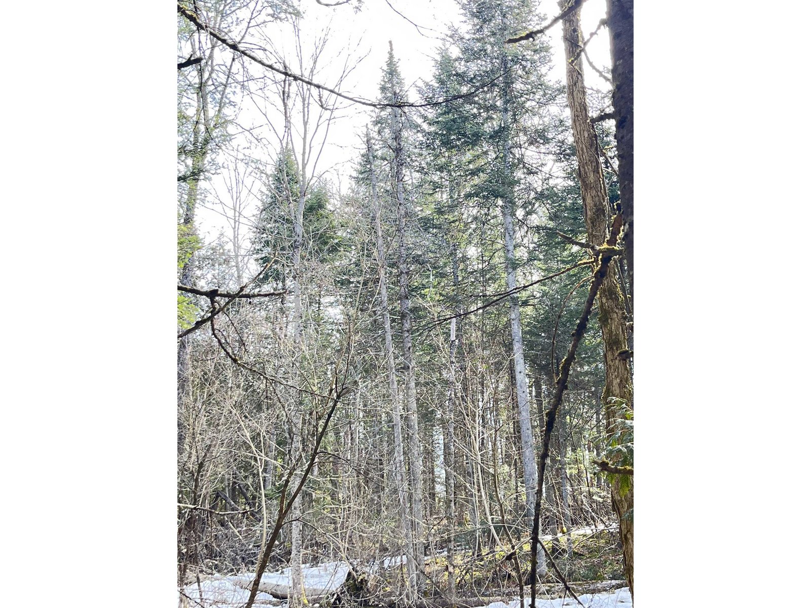 0 Hollow Road