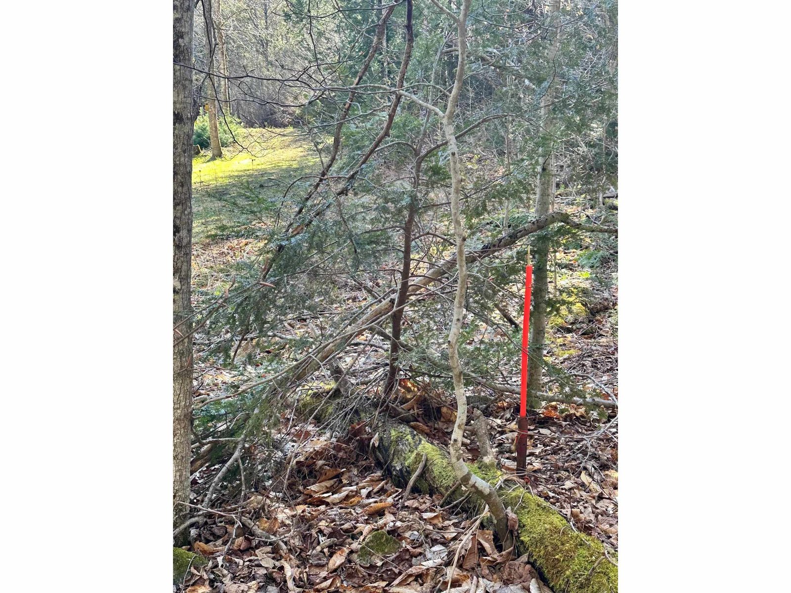 Left side boundary stake