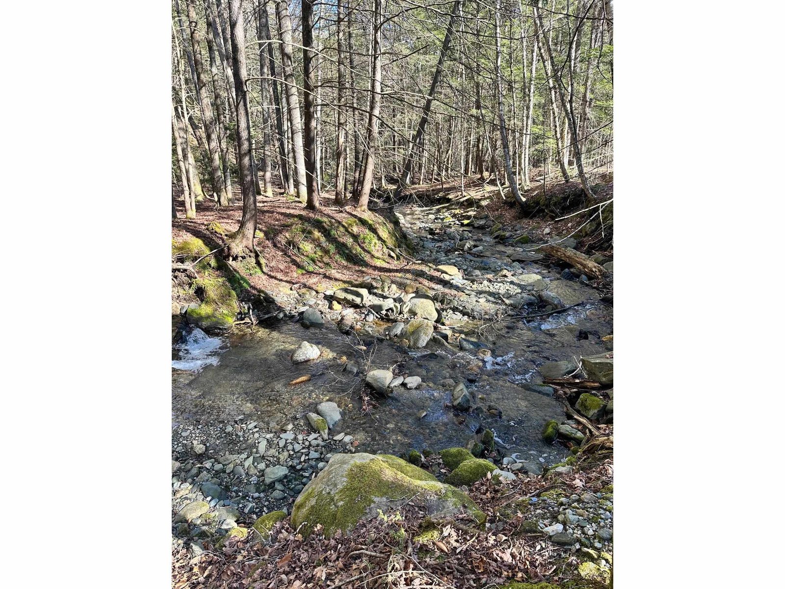 Hunter Brook across the Rd
