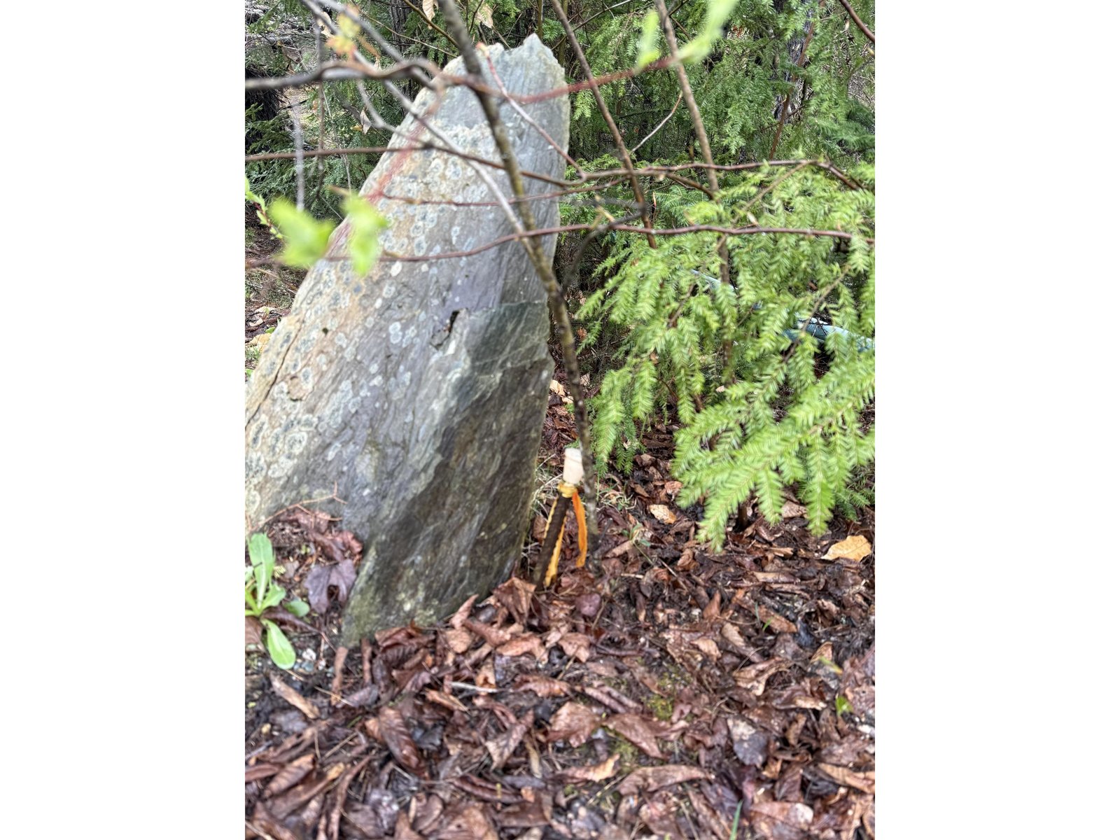 Leftside Property Marker
