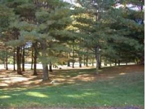 0 Juniper Lane