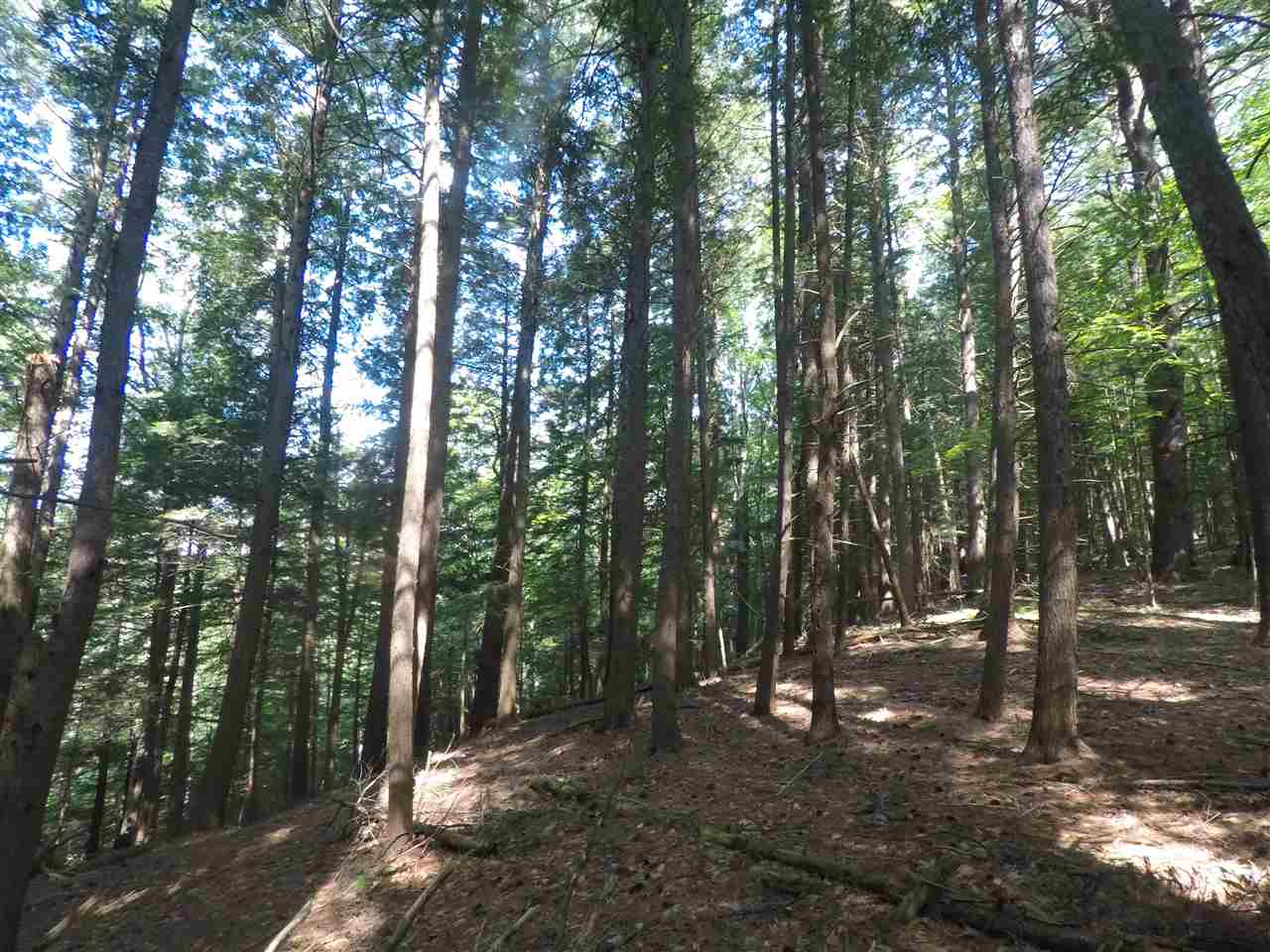 0 Lewis Creek Road